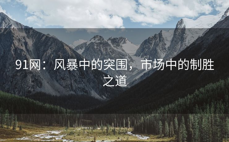 91网：风暴中的突围，市场中的制胜之道