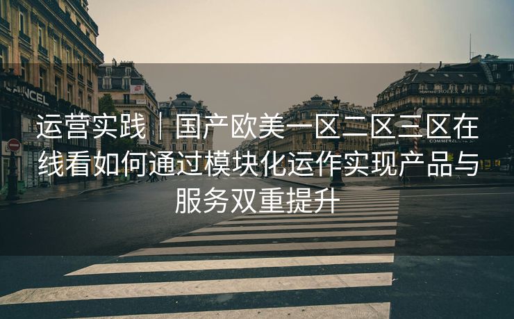 运营实践｜国产欧美一区二区三区在线看如何通过模块化运作实现产品与服务双重提升