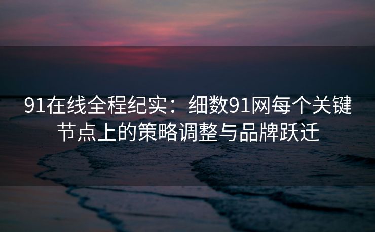 91在线全程纪实:细数91网每个关键节点上的策略调整与品牌跃迁 91在线全程纪实:细数91网每个关键节点上的策略调整与品牌跃迁